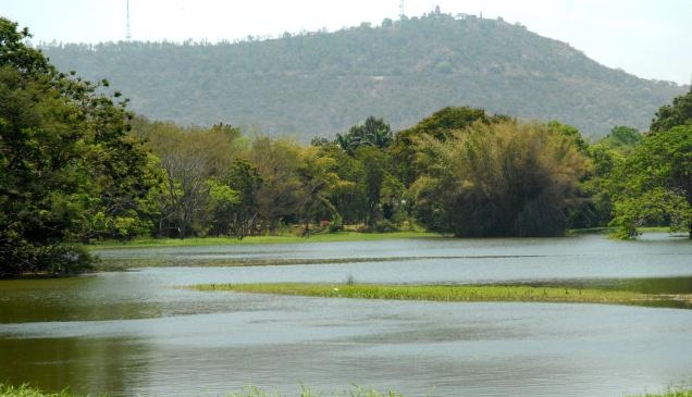 Karanji Lake – Karanji Kere, Mysore