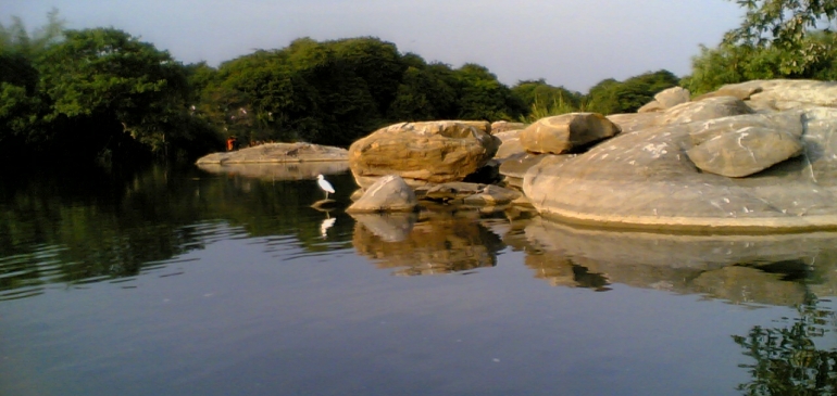 Ranganathittu Bird Sanctuary